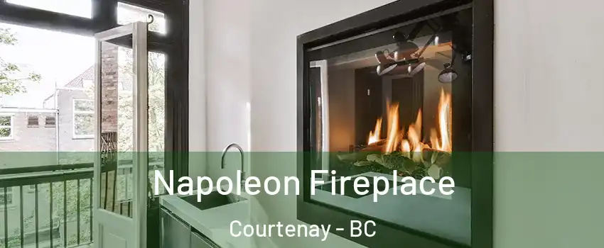  Napoleon Fireplace Courtenay - BC