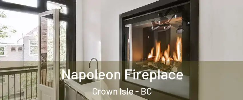  Napoleon Fireplace Crown Isle - BC