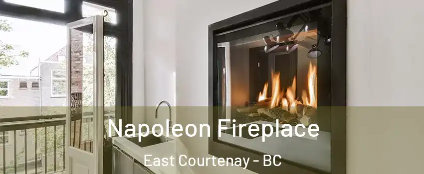  Napoleon Fireplace East Courtenay - BC