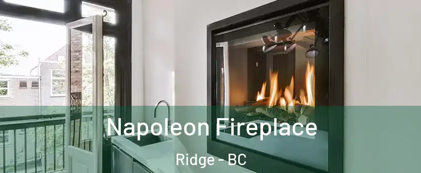  Napoleon Fireplace Ridge - BC