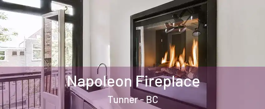  Napoleon Fireplace Tunner - BC