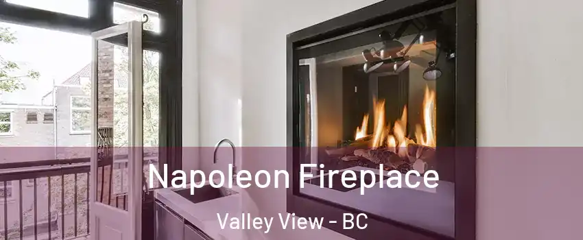  Napoleon Fireplace Valley View - BC