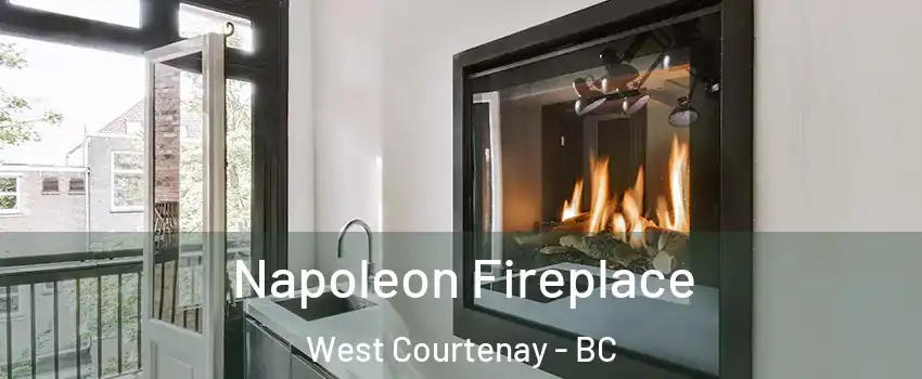  Napoleon Fireplace West Courtenay - BC