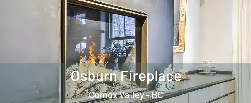  Osburn Fireplace Comox Valley - BC