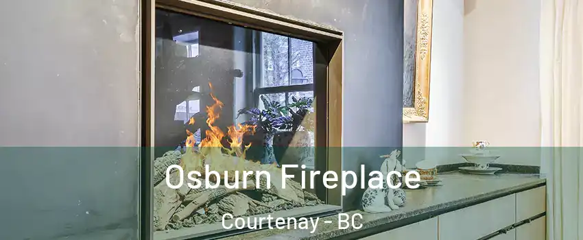  Osburn Fireplace Courtenay - BC