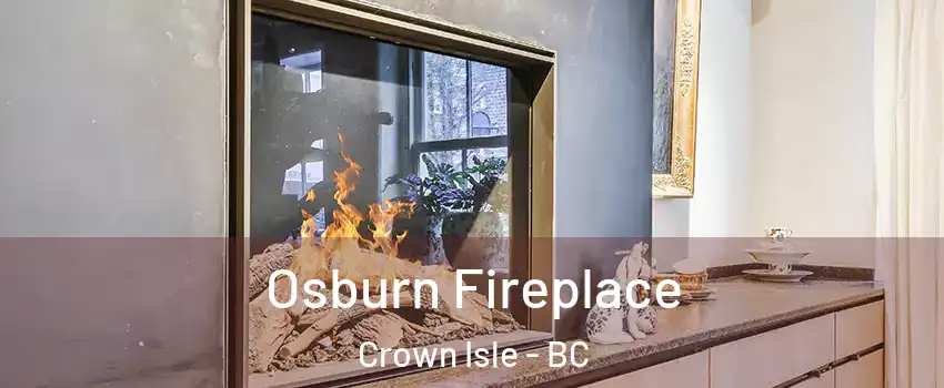  Osburn Fireplace Crown Isle - BC