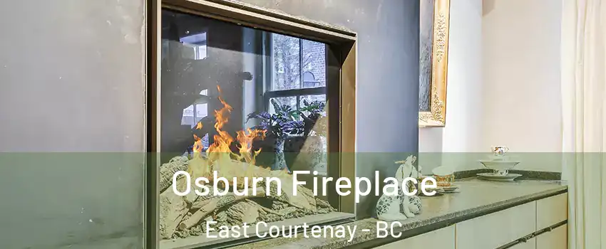  Osburn Fireplace East Courtenay - BC