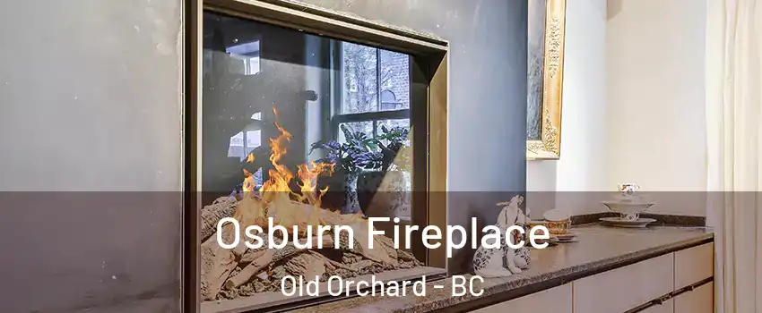  Osburn Fireplace Old Orchard - BC