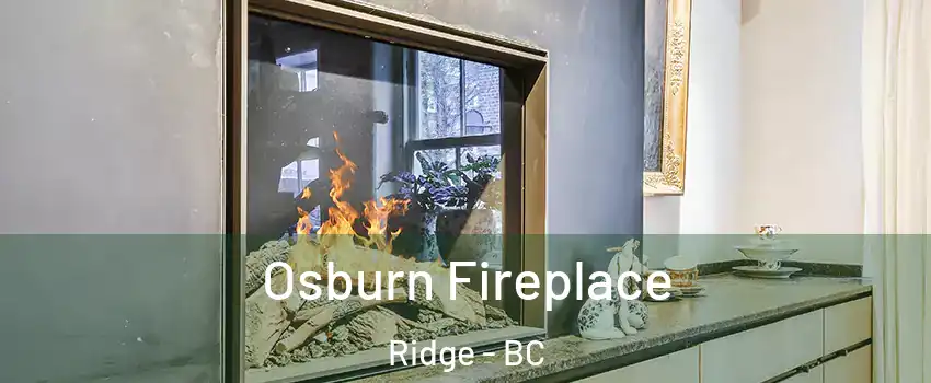  Osburn Fireplace Ridge - BC