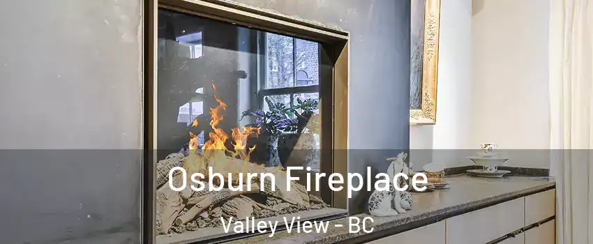  Osburn Fireplace Valley View - BC