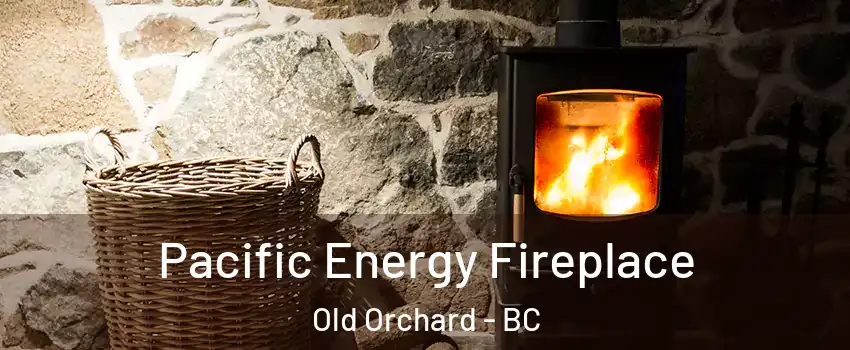  Pacific Energy Fireplace Old Orchard - BC