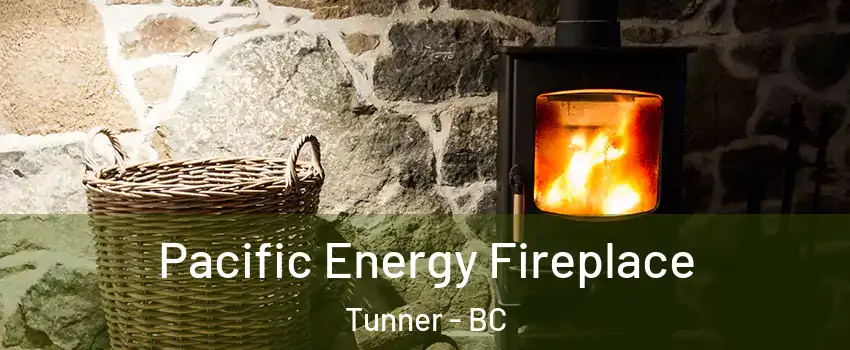  Pacific Energy Fireplace Tunner - BC