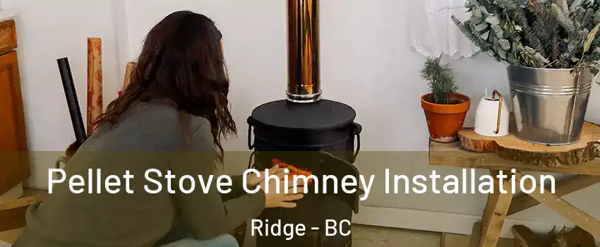  Pellet Stove Chimney Installation Ridge - BC