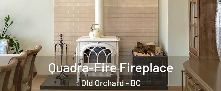  Quadra-Fire Fireplace Old Orchard - BC