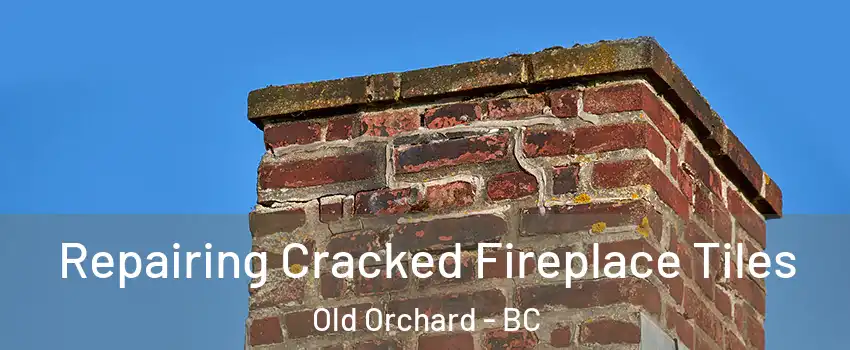  Repairing Cracked Fireplace Tiles Old Orchard - BC