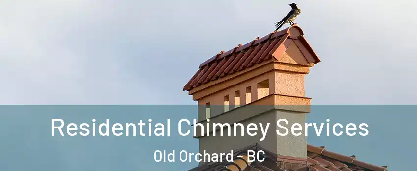  Residential Chimney Services Old Orchard - BC