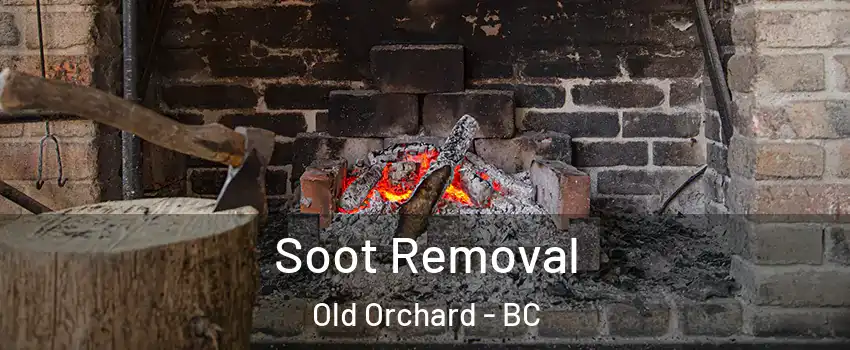  Soot Removal Old Orchard - BC
