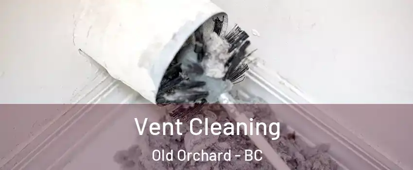  Vent Cleaning Old Orchard - BC