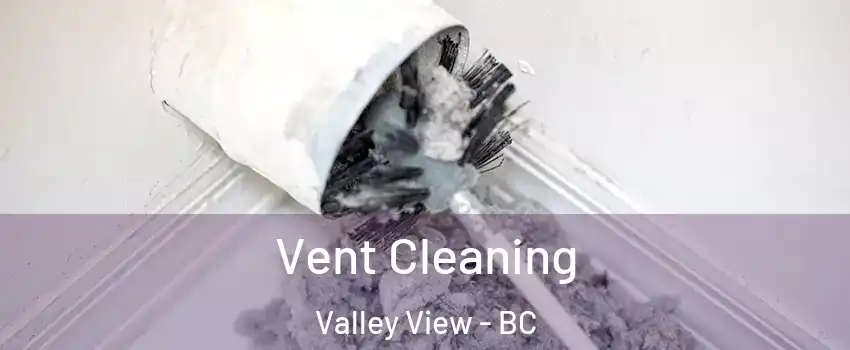 Vent Cleaning Valley View - BC