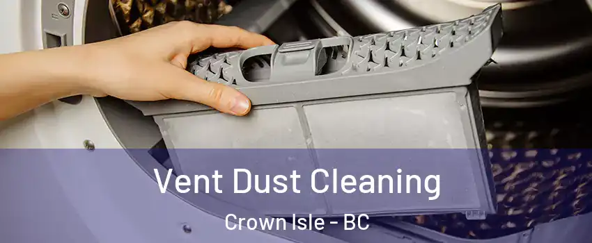  Vent Dust Cleaning Crown Isle - BC