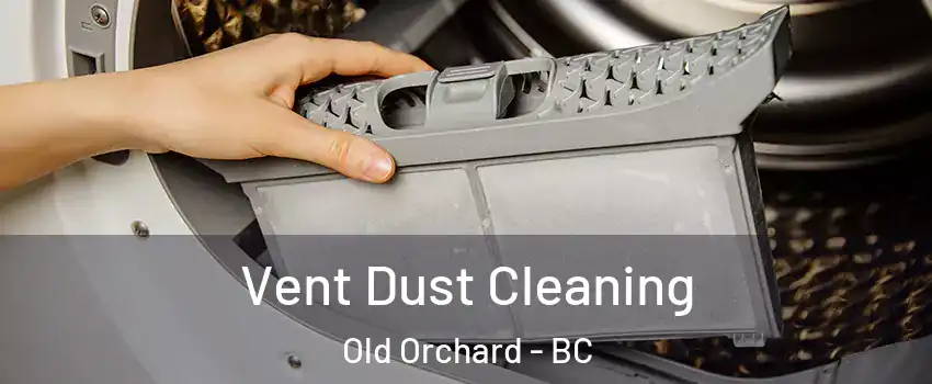  Vent Dust Cleaning Old Orchard - BC