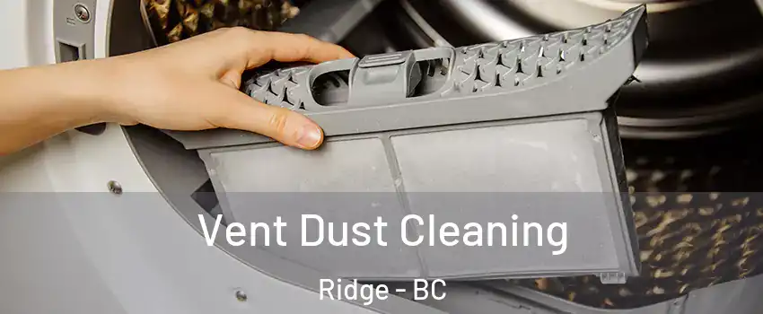  Vent Dust Cleaning Ridge - BC