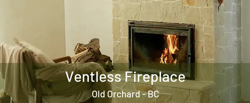  Ventless Fireplace Old Orchard - BC