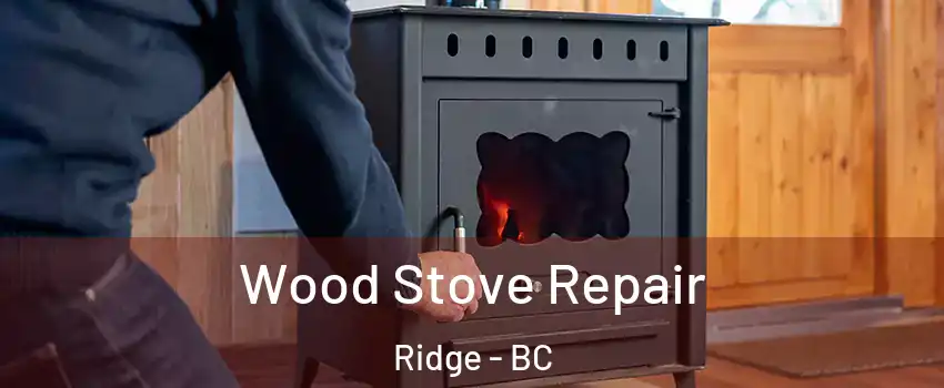  Wood Stove Repair Ridge - BC